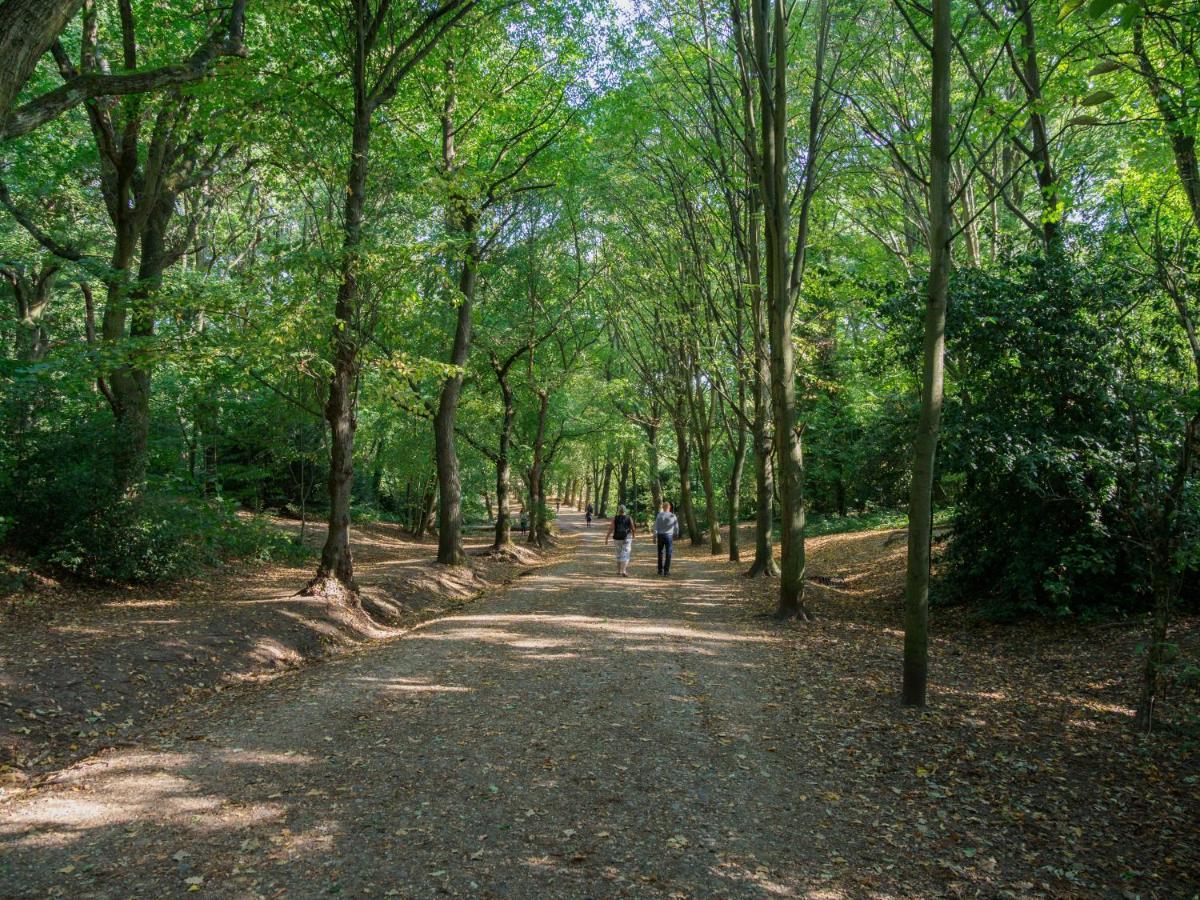 דירות לונדון Bright West Hampstead Retreat מראה חיצוני תמונה
